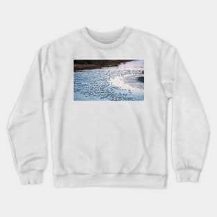 Pelicans In the Morning Light of the Sun and Moon Crewneck Sweatshirt